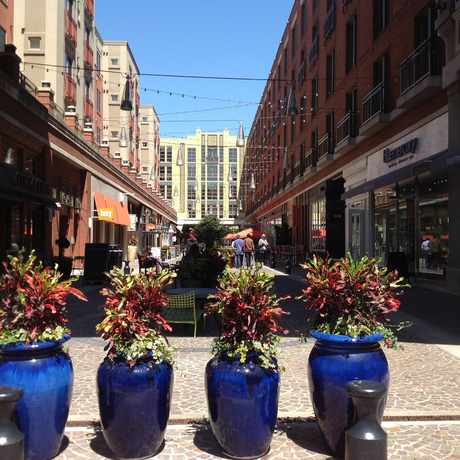 Photo of Bethesda Lane in Bethesda
