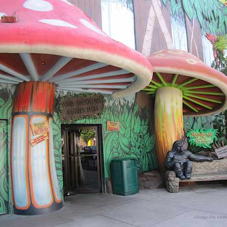 Photo of Rainforest Cafe in River North, Chicago