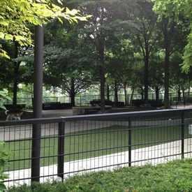 Photo of Near East Side