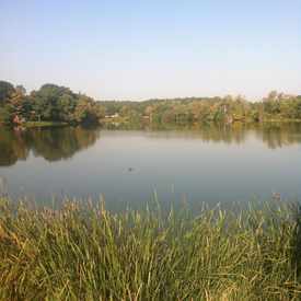 Photo of Ell Pond