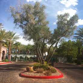 Photo of Gates