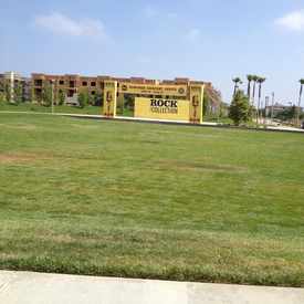 Photo of Town Park at The Collection