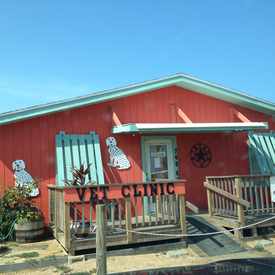 Photo of Island Animal Clinic