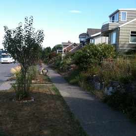 Photo of Orchard Street Ravine