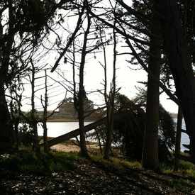 Photo of Pecho St. Trail