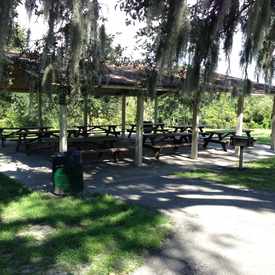 Photo of Picnic Area