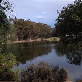 Photo of Evan's Pond