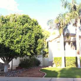Photo of Trees