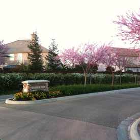 Photo of Quail Lake