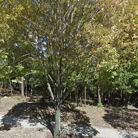 Photo of Little Quarry Park