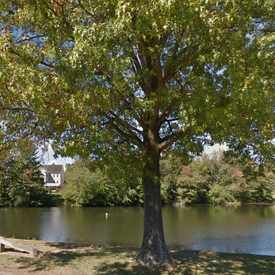 Photo of Lake Nirvana