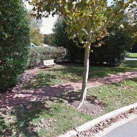 Photo of Oval Park