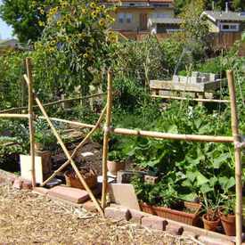 Photo of Zaferia Junction Garden