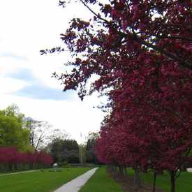Photo of Raymond Park