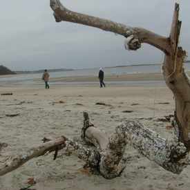 Photo of Crane Beach