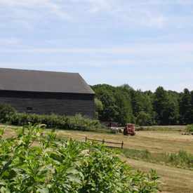 Photo of Jones' Barn/Field