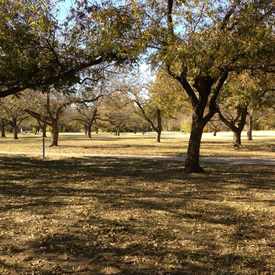 Photo of Katherine Rose Memorial Park