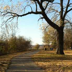 Photo of River City Parks