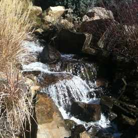 Photo of Rock And Stone Business