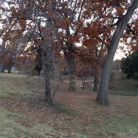 Photo of Owen Park