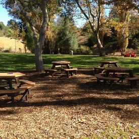 Photo of Grape Arbor Park