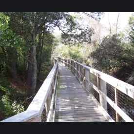 Photo of Jones Swamp Preserve