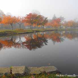 Photo of Argyle Park, Babylon, NY