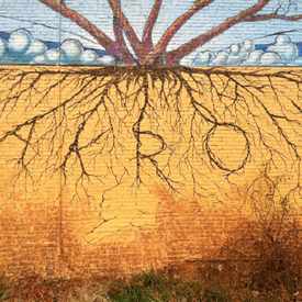 Photo of Roots