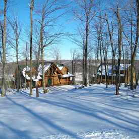 Photo of Log Home For Sale