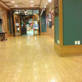 Photo of The John P. Holt Brentwood Library