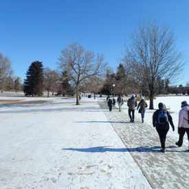 Photo of City Park