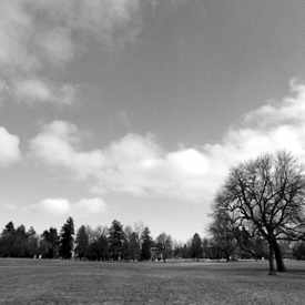 Photo of Cheesman Park
