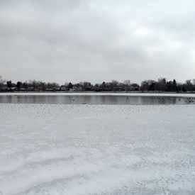 Photo of Washington Park