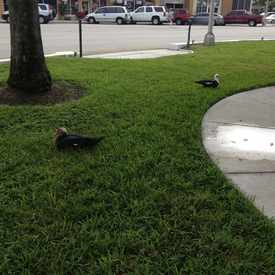 Photo of Circle Park