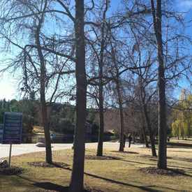Photo of Park Next To Tennis And Swim Center.