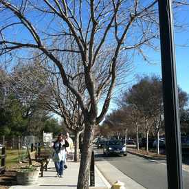 Photo of Park Next To Tennis And Swim Center.