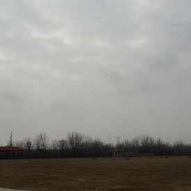 Photo of Betty Matters Field