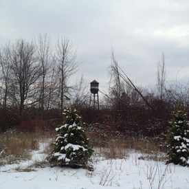 Photo of Marie Curtis Park