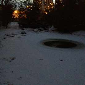 Photo of Kariya Park