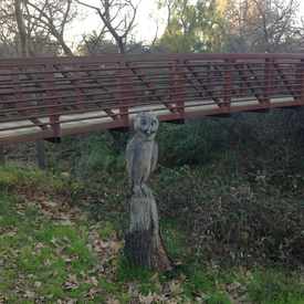 Photo of George Cardinet Trail