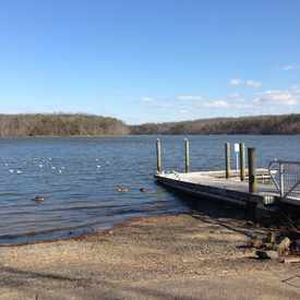 Photo of Burke Lake Park