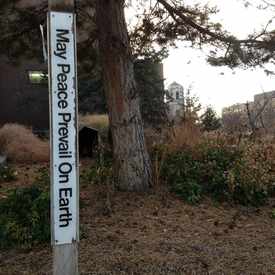 Photo of Auraria Campus