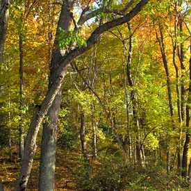 Photo of Leesylvania State Park