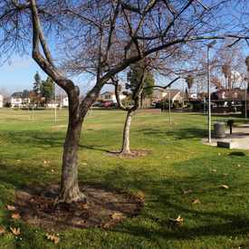 Photo of Old Alvarado Park