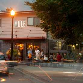 Photo of The Mule