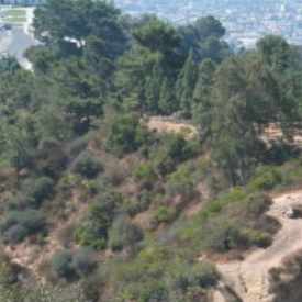 Photo of Los Angeles