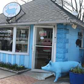 Photo of The Blue Pig