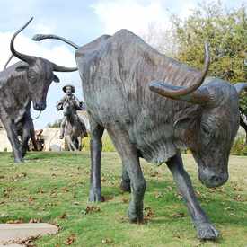 Photo of Frisco Central Park