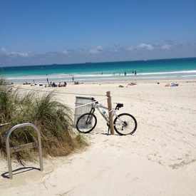 Photo of Smith & Wollensky - Miami Beach