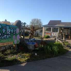 Photo of Tiki's At 51st
